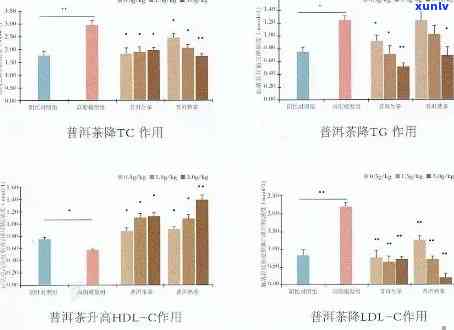 普洱茶对肝癌的治疗效果：科学研究与个人体验的全面探讨