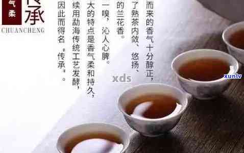 普洱茶的话题：热搜、式标题与走心文案，全面品鉴普洱茶的魅力！