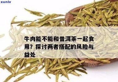 喝完牛肉后，可以喝普洱茶吗？同时，也可以喝奶茶。