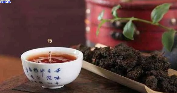 牛肉和普洱茶搭配食用的影响与注意事项：健与营养的全面探讨