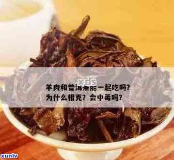 牛肉与普洱茶相克吗？牛肉普洱茶天然水能喝吗？牛肉和普洱茶能一起吃吗？