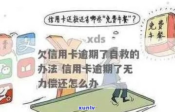 信用卡逾期6个月无力偿还，如何应对？