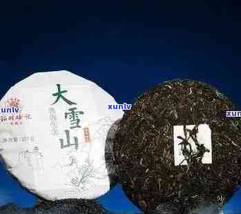 大雪山普洱茶的特色、产地和品饮体验：一篇全面解析