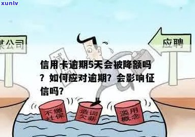 信用卡逾期上：降额影响与应对策略