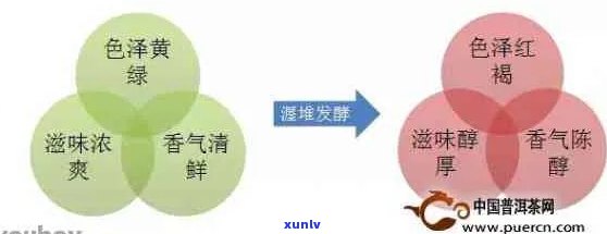 从叶型、香气、色和口感角度解析普洱茶的品质判断 *** 