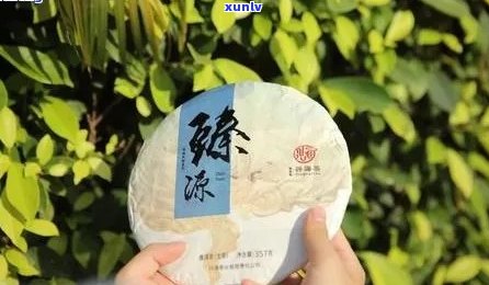 滇臻号普洱茶好喝吗