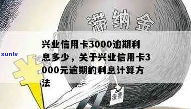 兴业信用卡3000元逾期