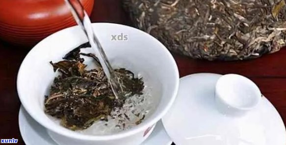 普洱茶泡制前的洗茶步骤：是否必要？如何正确洗茶以保持茶叶品质？