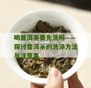 普洱茶用洗吗？怎么泡？