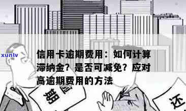 信用卡逾期后多久开始计算利息？如何避免高额滞纳金？