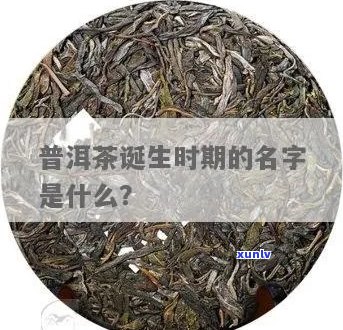 普洱茶名称的诞生时间：哪年？