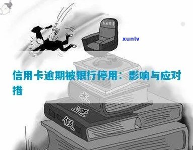 信用卡逾期额减少百亿元：影响与应对措