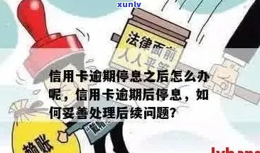 信用卡逾期停息怎么处理最有效：实用 *** 与建议