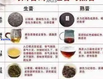 泰普洱茶品种大全集：全面解析、品鉴与购买指南