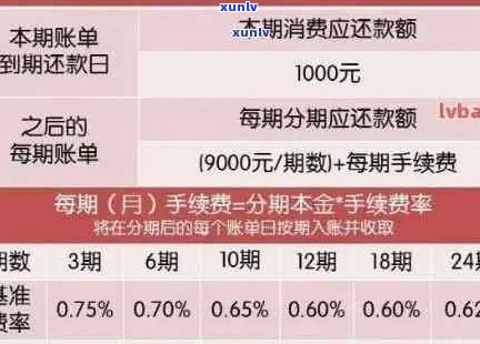 信用卡逾期还款期限长至5个月：新规定与影响分析