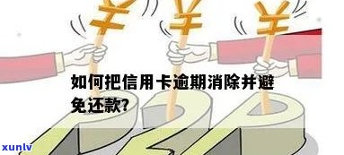 信用卡已逾期怎么消