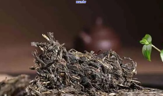 10多年普洱茶贵吗？十多年的普洱茶和10多年的普洱茶分别多少钱？