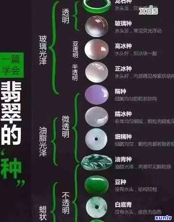 老坑翡翠种植：从选择到培育，全方位解析绿翡翠的种植过程与技巧