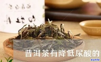 普洱茶可降尿酸高吗