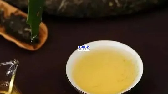 新益普洱茶的口感、功效和品质：用户评价全方位解析，确保你喝对好茶！