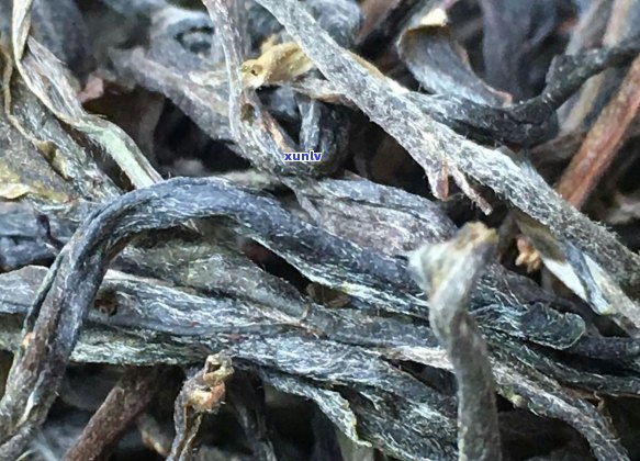 中国十大名茶排行榜：普洱茶荣耀登顶