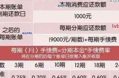 信用卡逾期还款攻略：处理策略与实际案例分析