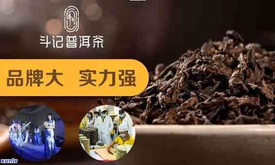 全面解析：斗记普洱茶背景、质量与口感 - 如何挑选和品鉴普洱茶？