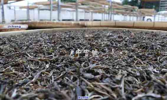 云南春明茶厂官方网站：品质越的普洱茶体验与生态文化传承