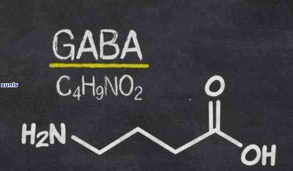 揭秘伽马氨基丁酸的作用机理及其在生理、心理和神经科学中的重要性