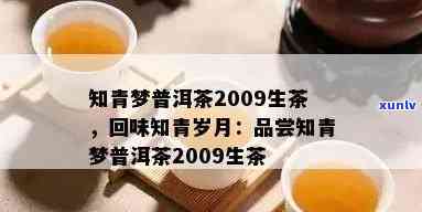 知青梦普洱茶2009生茶价格