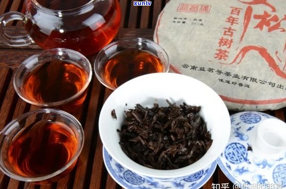 哪家普洱茶性价比高？好喝又实的茶叶推荐！