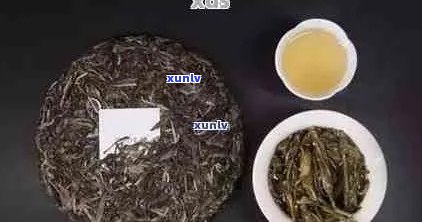 云南普洱茶哪家品质更优？收藏级茶叶推荐与对比分析