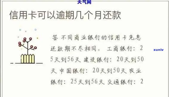 信用卡还款时间窗口：11点后还款是否算逾期？不同银行规定解析及相关建议