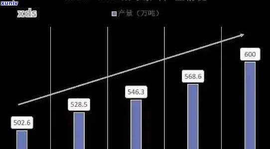 近年来普洱茶的发展现状及趋势分析