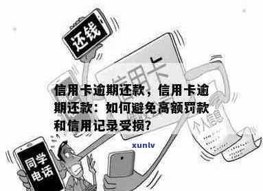 过了12点还信用卡安全吗？如何避免逾期罚款和信用记录受损？