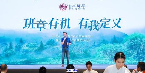 普洱茶：从传统到现代的演变与未来趋势分析