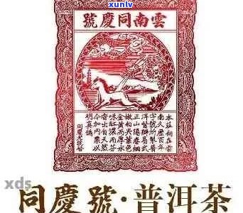 同庆号普洱茶厂：传承古法，创新品质，致敬经典普洱茶