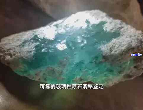 老坑玻璃种原石价值与区别，翡翠鉴赏知识全解