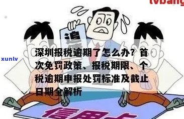 深圳逾期申报处罚标准：个税、罚款等最新规定及如何处理