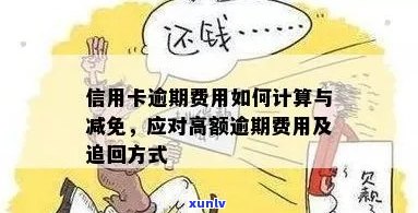 信用卡逾期费用：追回 *** 、高低判断、收取标准、多少查询及减免申请。