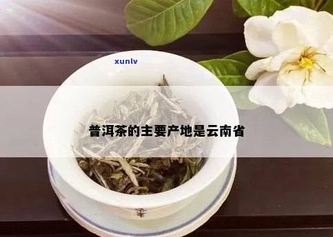 普洱茶是否云南特产？