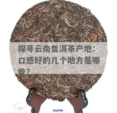 云南特产普洱茶的魅力与产地之谜