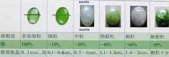 翡翠和石头的密度对比分析：从科学角度探究这两种宝石的关键特性