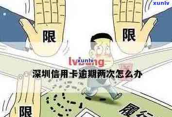 深圳信用卡逾期处理报价：全方位策略与服务