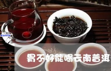 胃不好能喝浓普洱茶