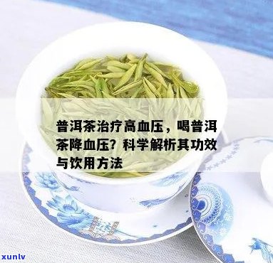 普洱茶对高血压的益处及其预防和治疗作用：一个全面的指南