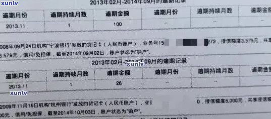 全方位指南：如何查询信用卡逾期记录及相关问题解答