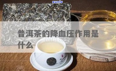 普洱茶对高血压好处