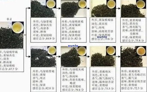 普洱茶中的微小颗粒：探寻其品质与功效(不包含茶叶和中国)