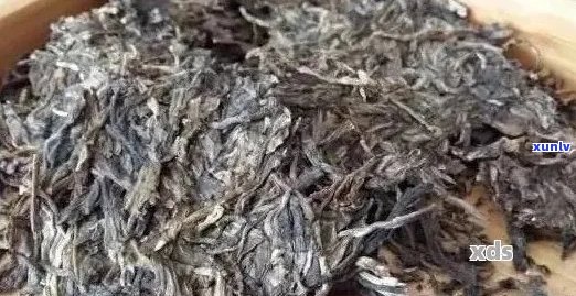 普洱茶细末子能喝吗